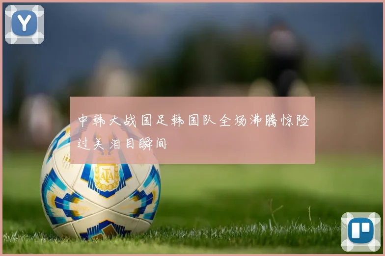 中韩大战国足韩国队全场沸腾惊险过关泪目瞬间