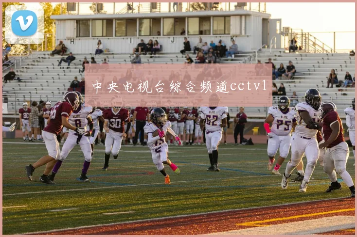 中央电视台综合频道cctv1