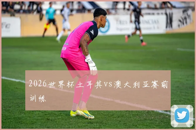 2026世界杯土耳其vs澳大利亚赛前训练