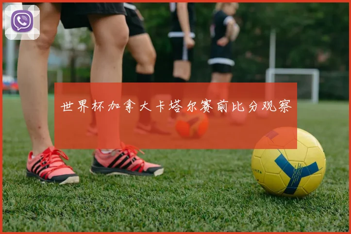 世界杯加拿大卡塔尔赛前比分观察