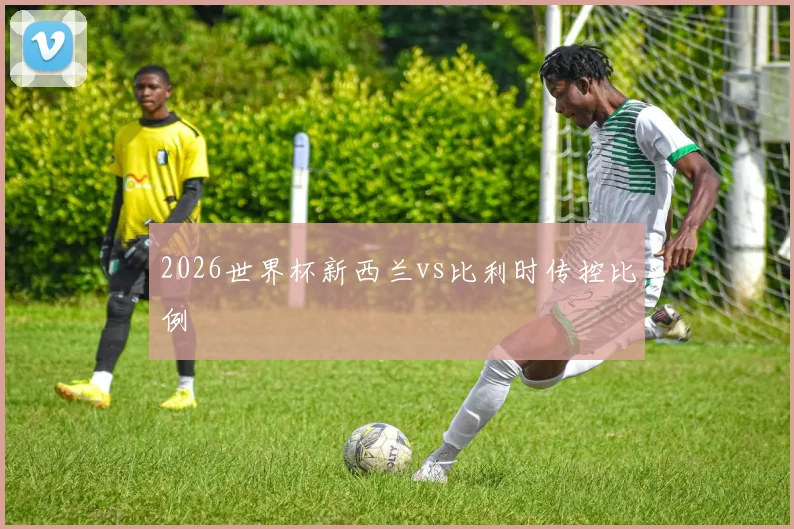 2026世界杯新西兰vs比利时传控比例